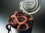 LT-can-of-worms-art-420x0.jpg
