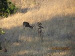 695image001.jpg
