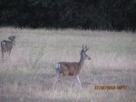 995image001.jpg