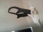 20130708_190637.jpg