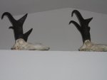 WY 2011-12 Bucks.jpg