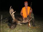 Steve Moose 002 (1).jpg