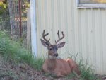 IMG_0123.jpg