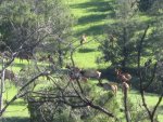 IMG_0779.jpg