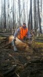 2011 elk pics 345.jpg
