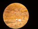 IMG_20130901_152817.jpg