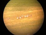 IMG_20130901_120613.jpg