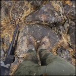hunt4.jpg