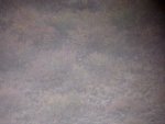 IMG-20130906-00430.jpg