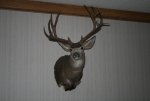 IMG_0698.jpg