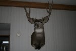 IMG_0699.jpg