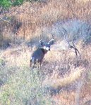IMG_0079.JPG
