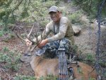 JN 2013 deer.jpg
