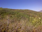 IMG-20130920-00441.jpg