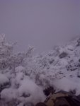 IMG-20130927-00452.jpg