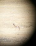 20130929_115535-1.jpg