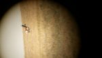 20130811_095559.jpg