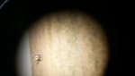 20130811_095551.jpg