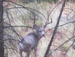 IMG_0282.jpg