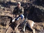 2013 Deer.jpg