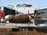 Wyoming 2013 006.jpg