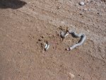 Wyoming 2013 013.jpg