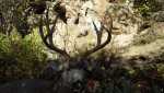 wyo13(300).jpg