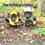 dach turkey hunter.jpg