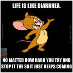 life-is-like-diarrhea-meme.jpg