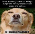 D6FB6024-8E73-44CF-915F-56DAAA43FCB2.jpeg