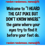 38138