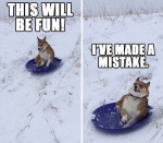 38484