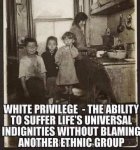 white-privilege-ability-to-suffer-lifes-universal-indignities-without-blaming-another-ethnic-g...jpg
