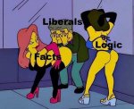 liberals-facts-logic-exotic-dancers-simpsons.jpg