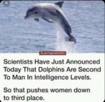 3C2636AD-FE1F-4168-873C-72A22827B3B4.jpeg