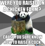 chicken-farm_o_222142.jpg