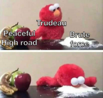 39374
