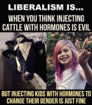 39403