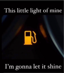 39559