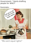 fems.png
