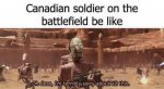 canadian soldier.jpg