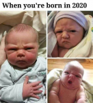 39805