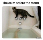 39859