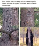 39871