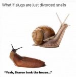 39874