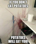 39984