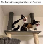 39993