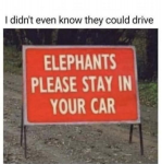 40324