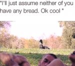 no bread.jpg
