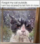 41092